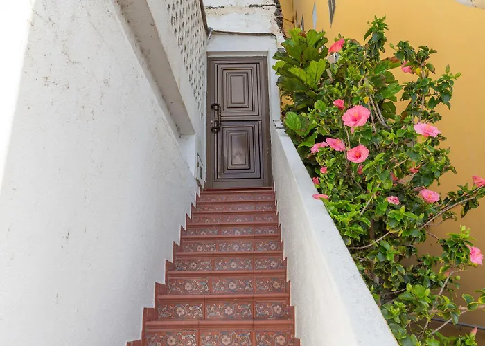 Casita Independiente Frente Al Mar Apartment *